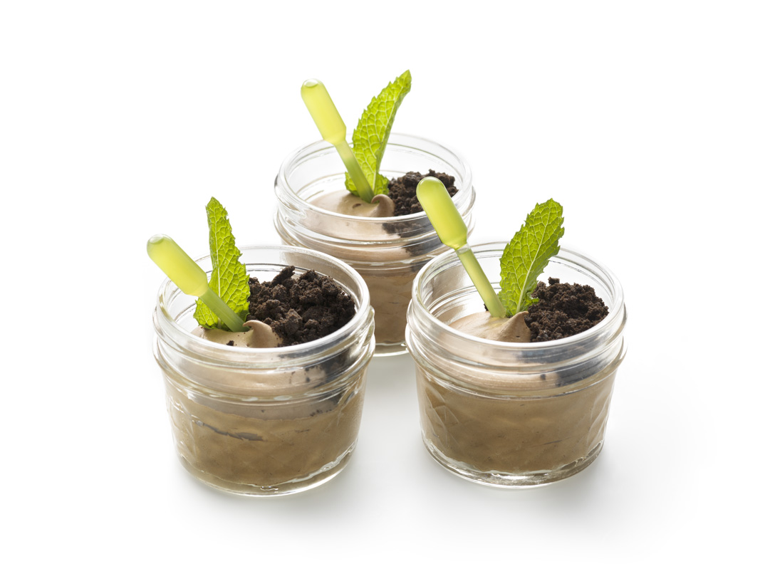 Mousse au chocolat de la jungle