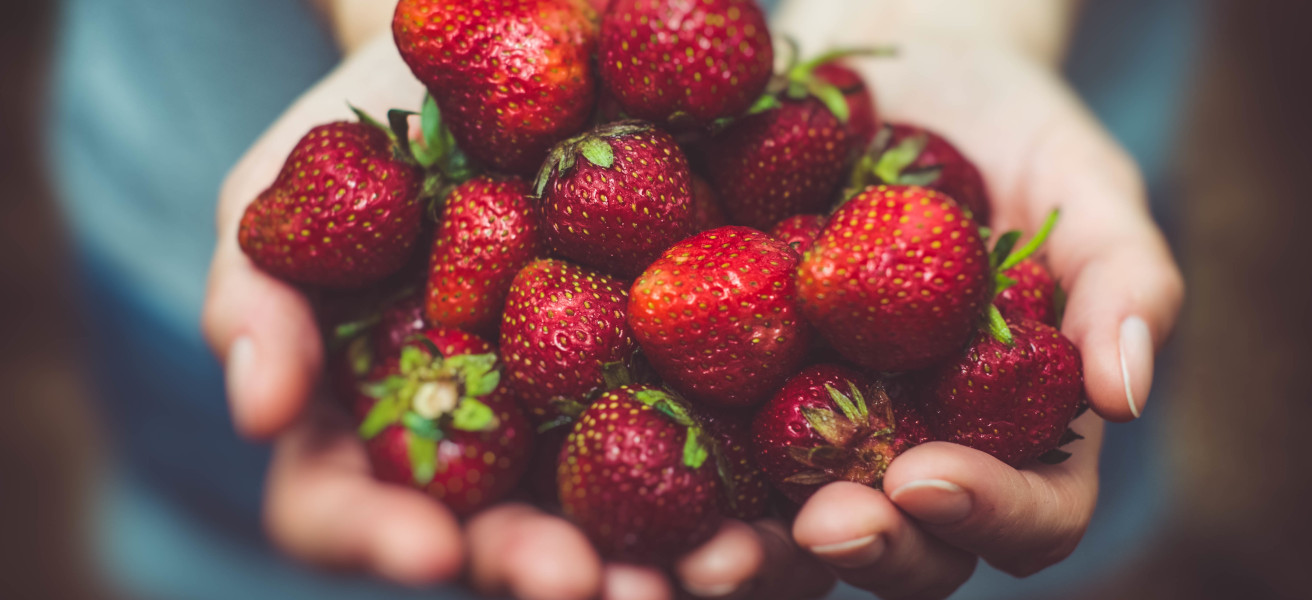Un favori de l'été: les fraises