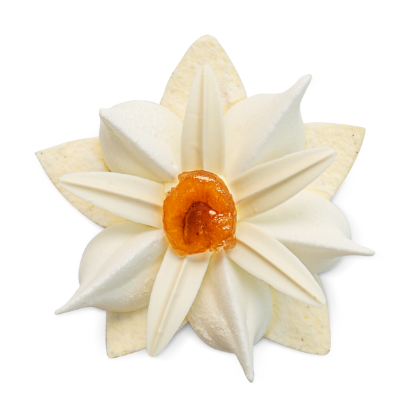 Debic Fleur Blanche