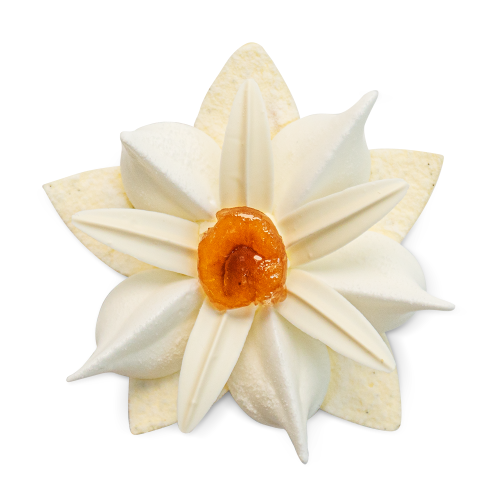 Fleur Blanche