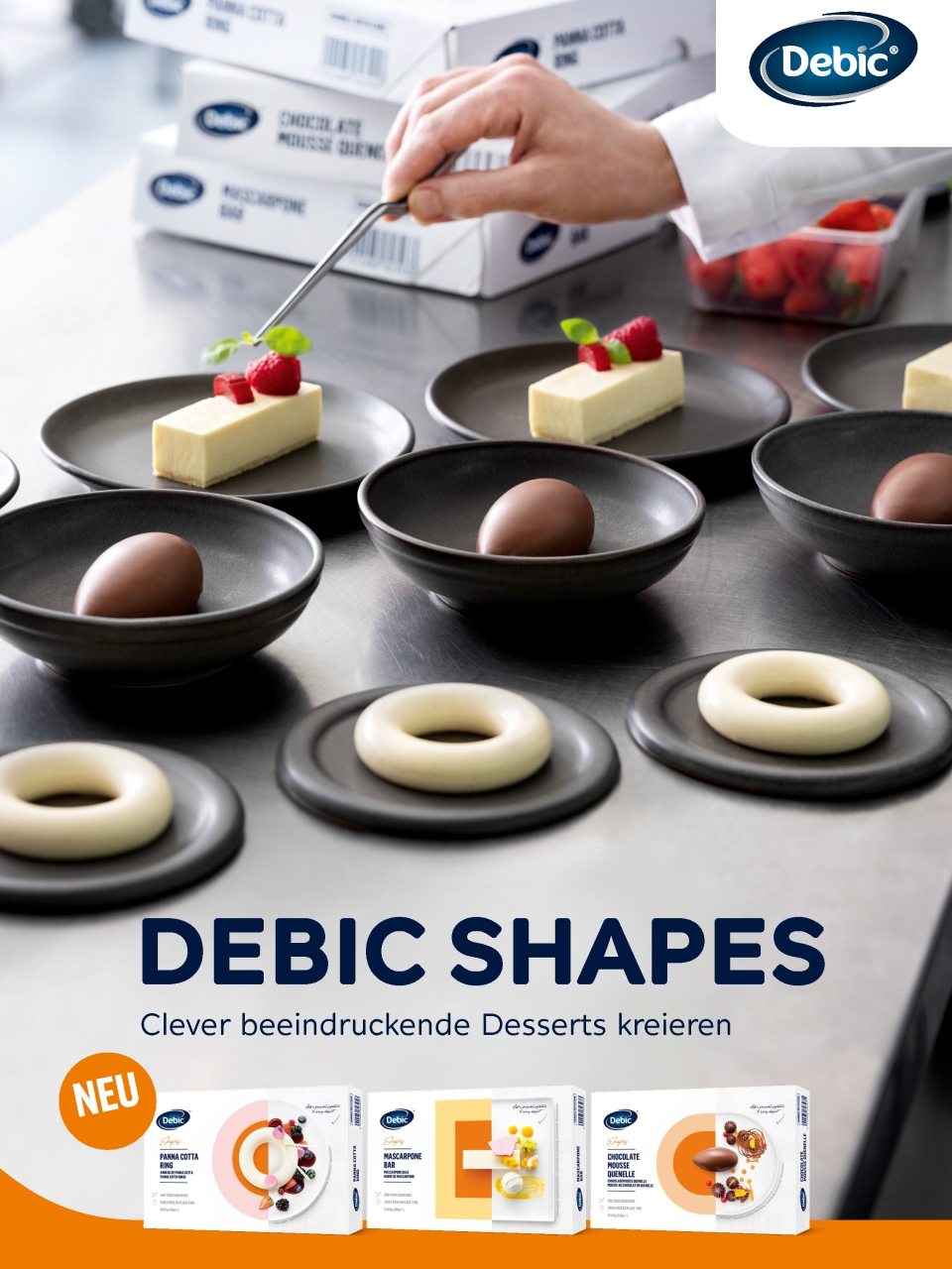 Debic Shapes 2022 Brochure 
