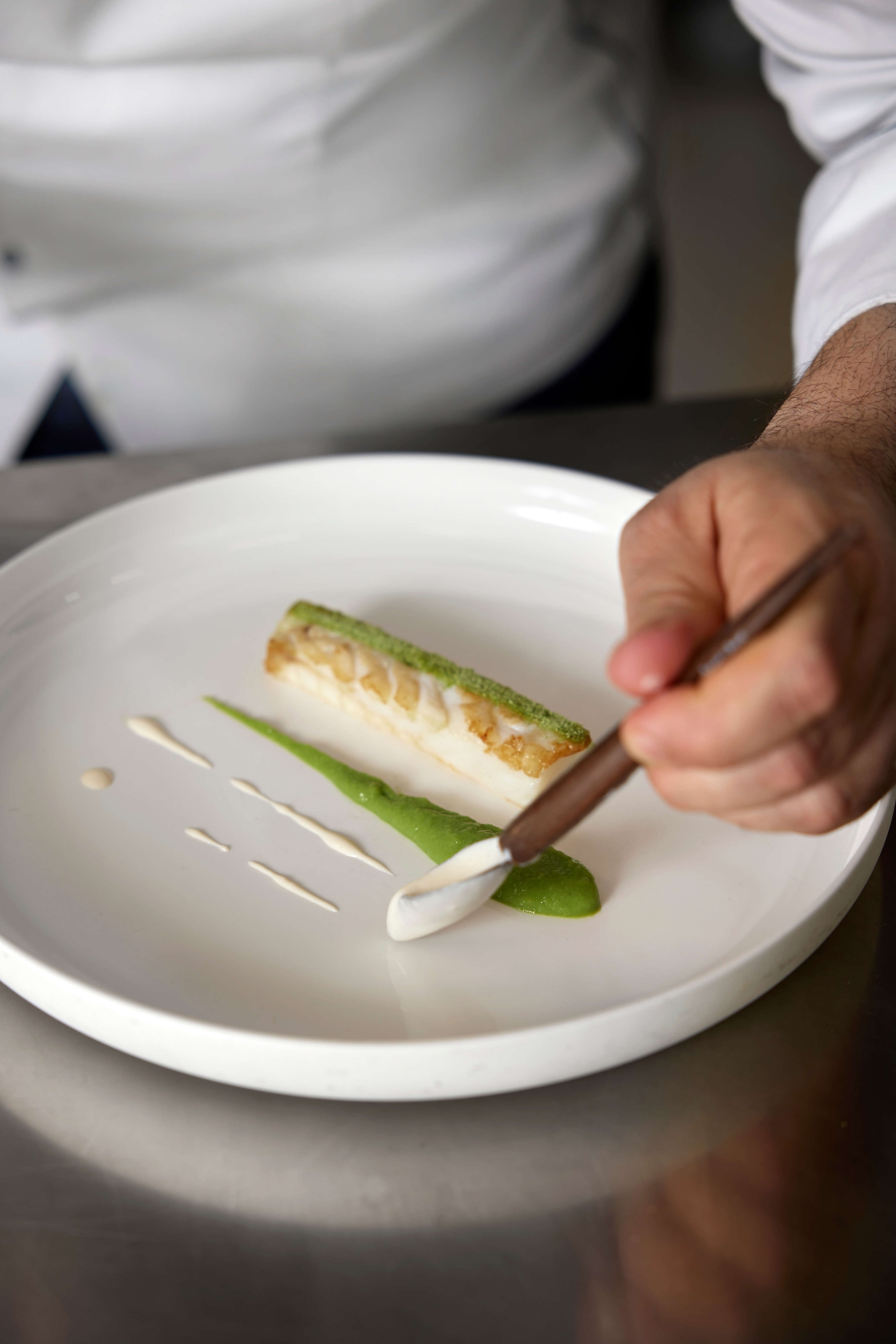 MERLUZZO AL VAPORE CON CREAM PLUS MASCARPONE DEBIC