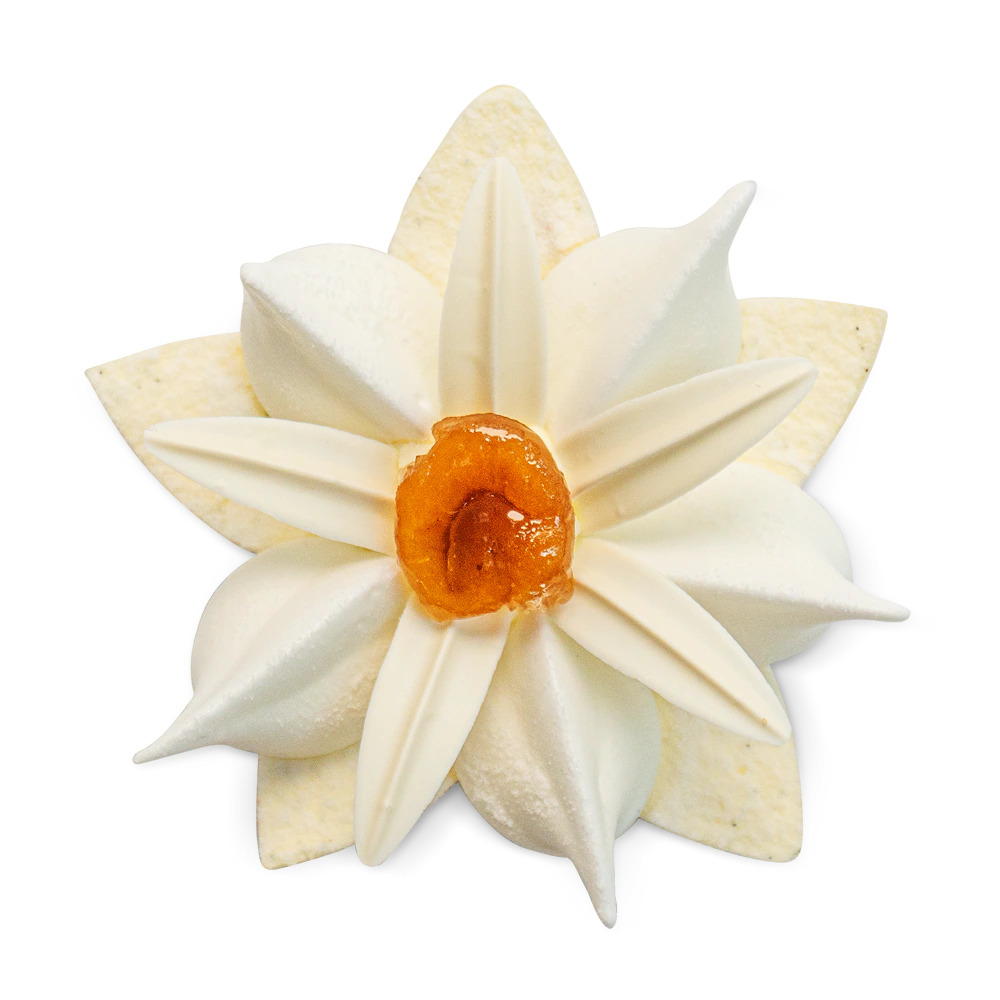 Créations de printemps