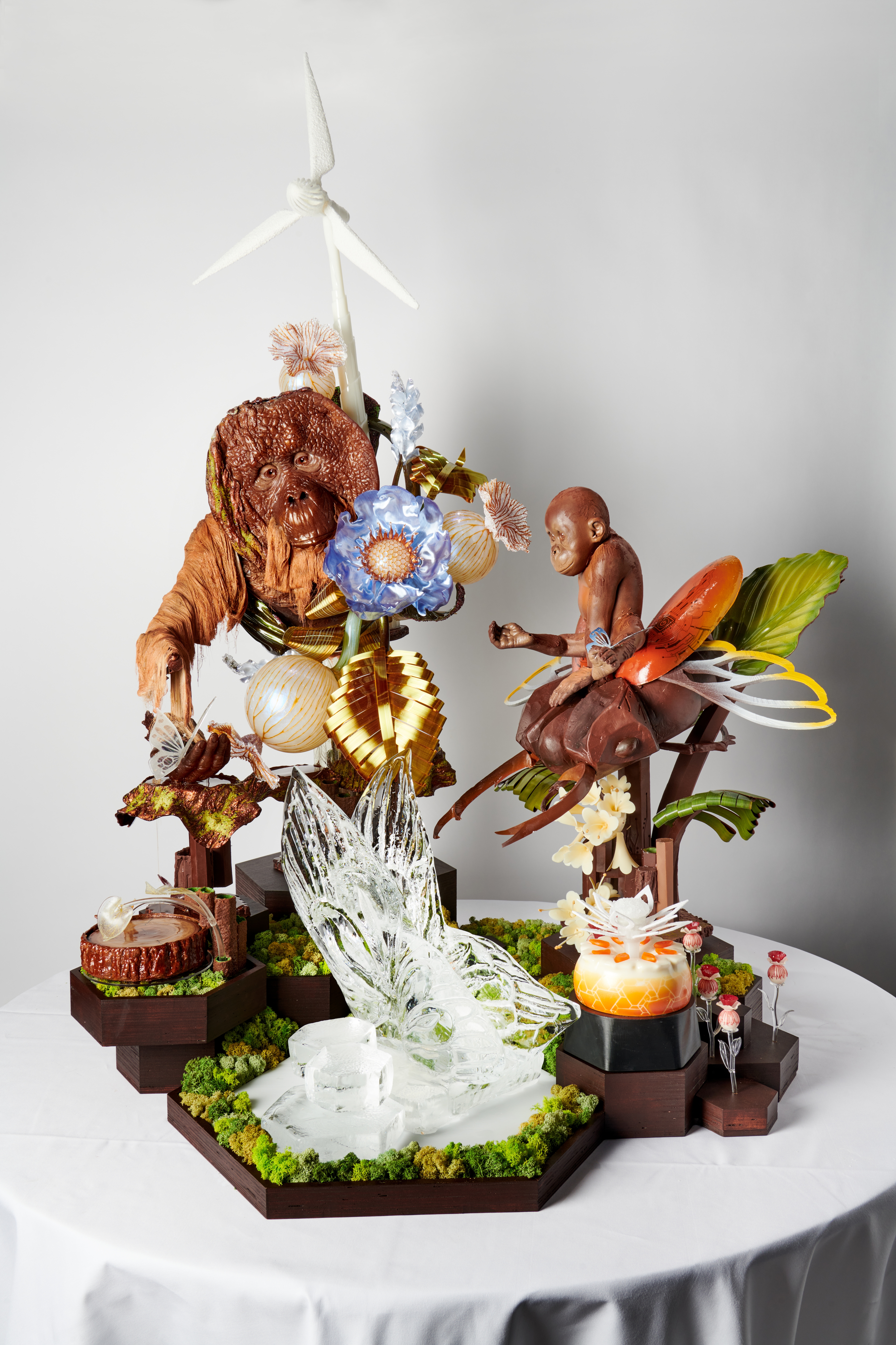  - photo 3377257 | Debic