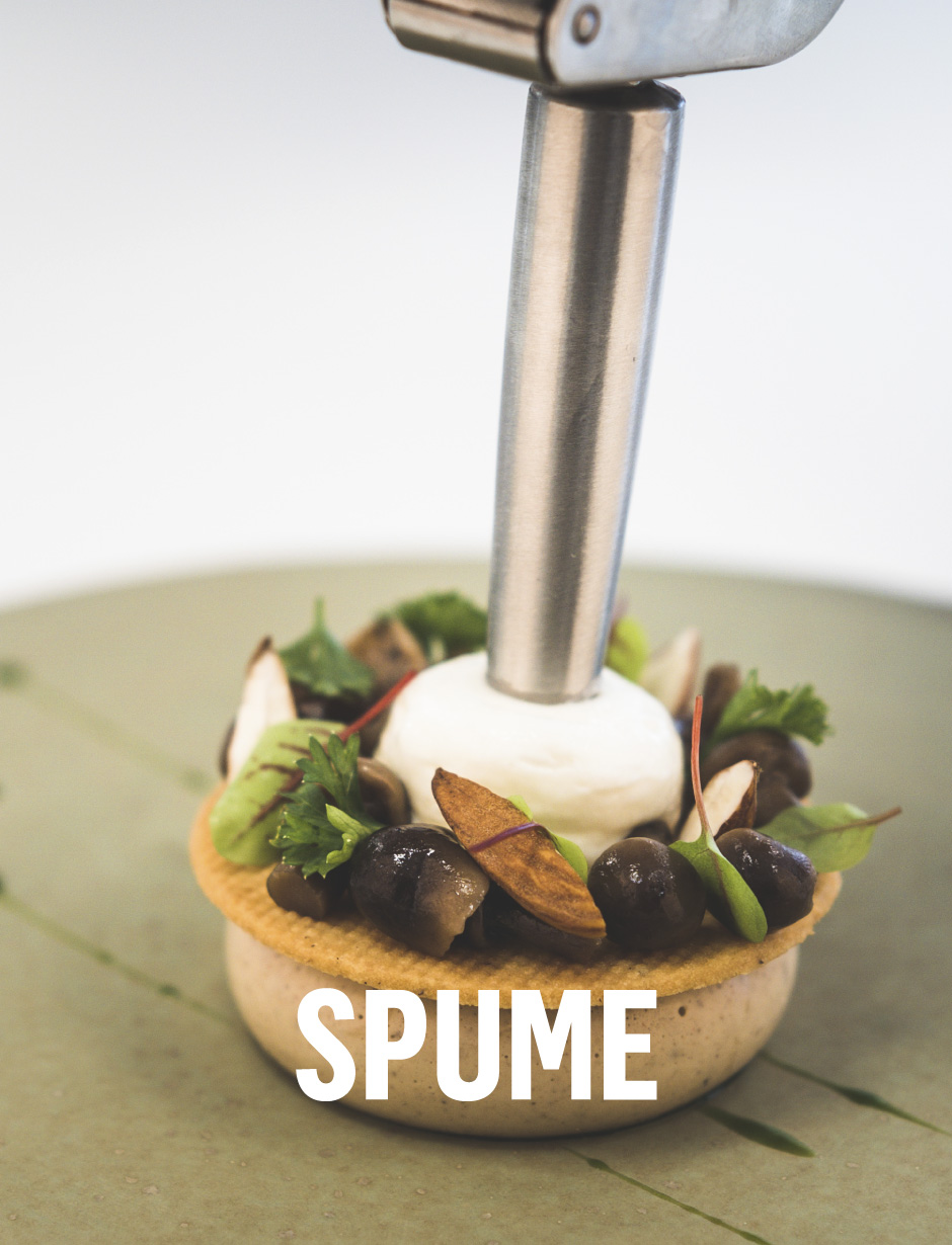 UNA SPUMA PERFETTA DEBIC