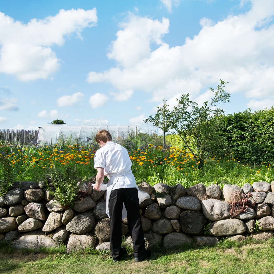 Comment rendre la cuisine professionnelle plus durable ?