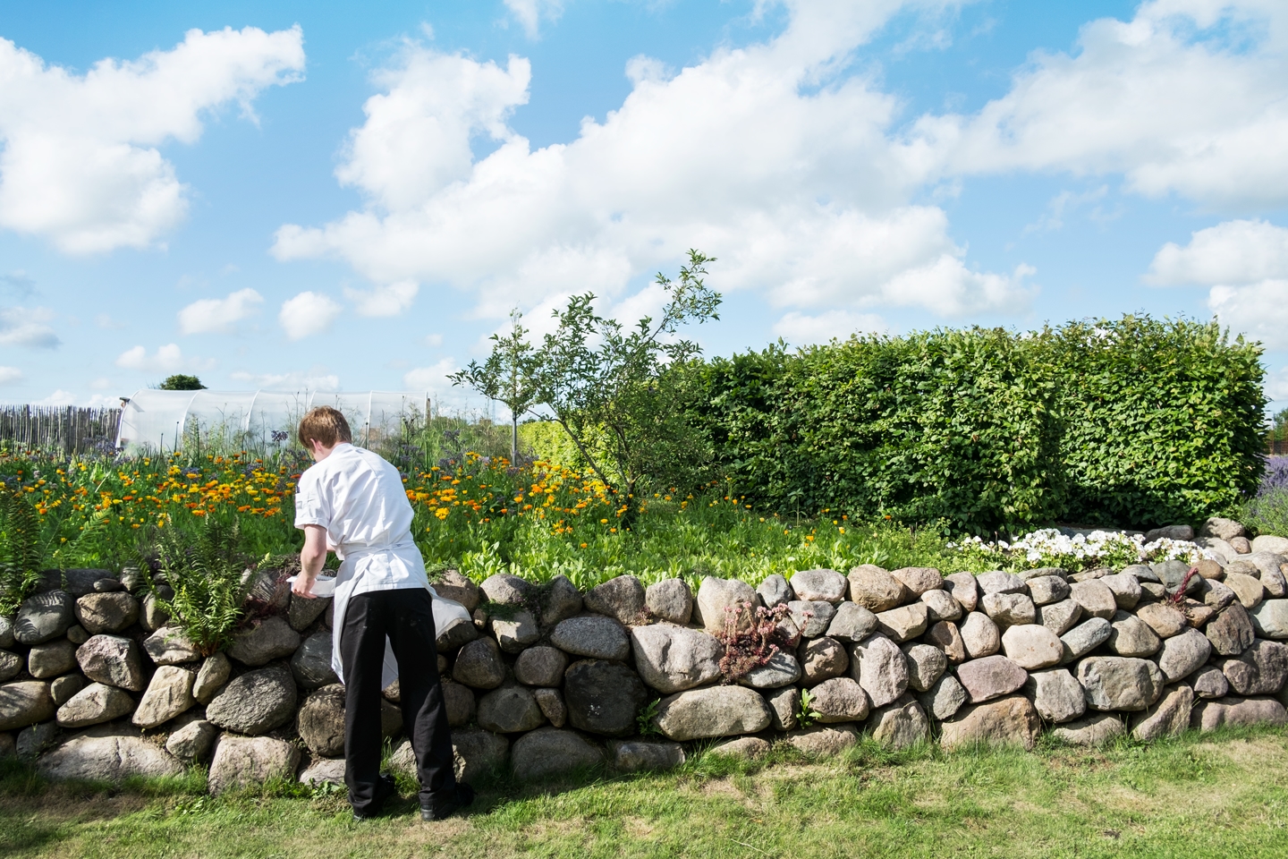 Hoe kun je de professionele keuken duurzamer maken?