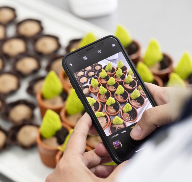 Social Media | Debic