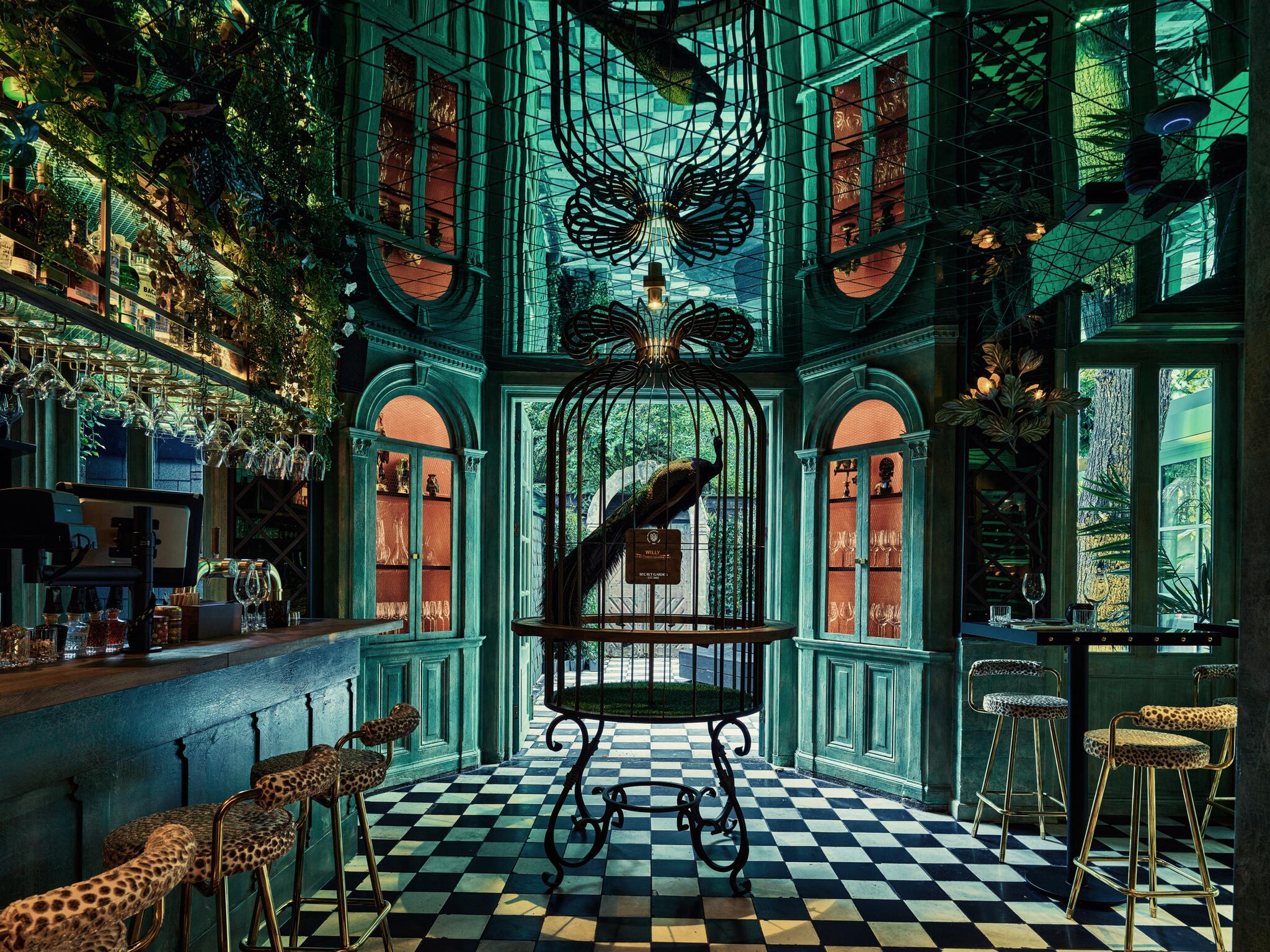 Black and green: secret rainforrest