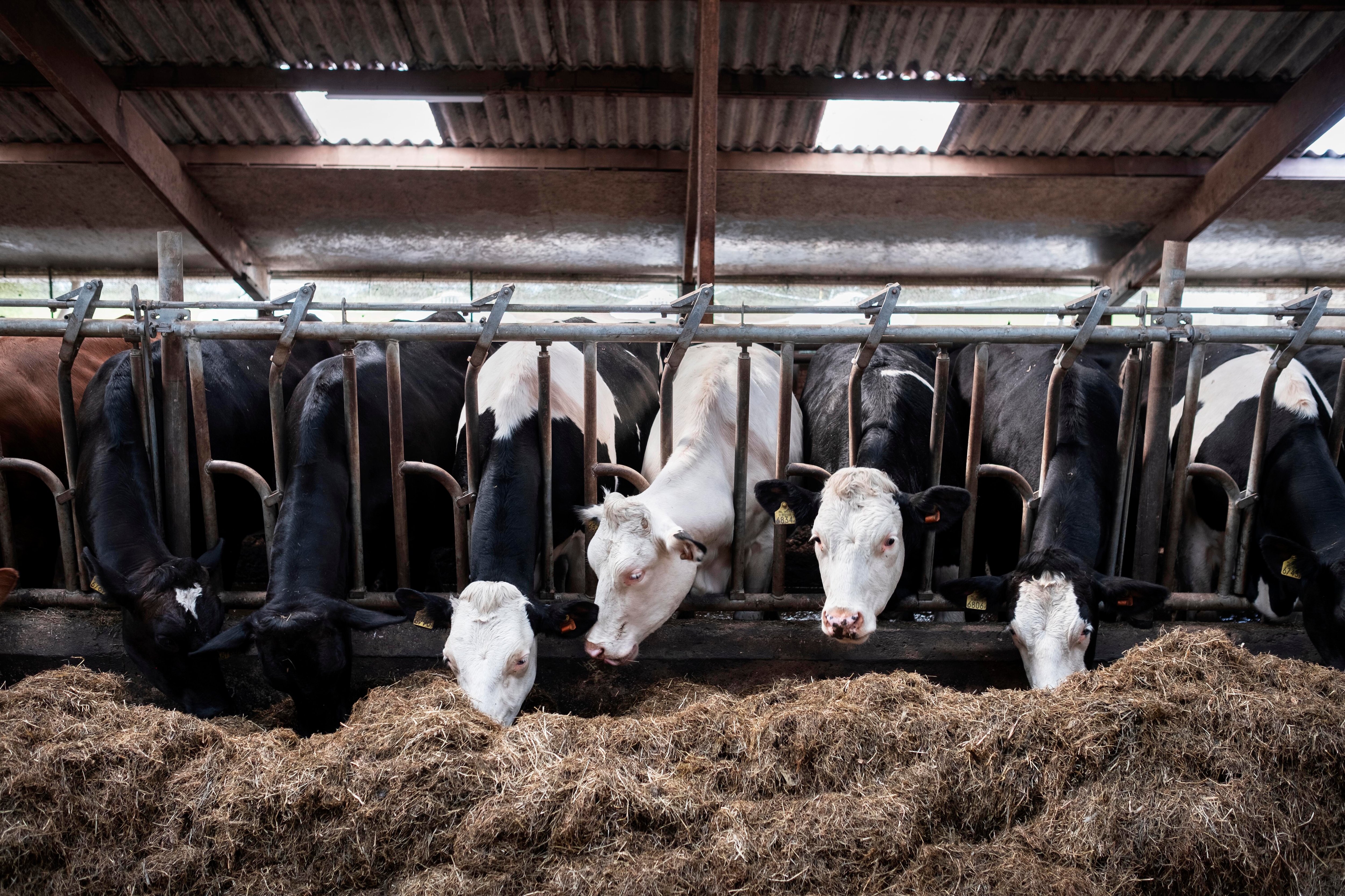 De Smink manier van koken