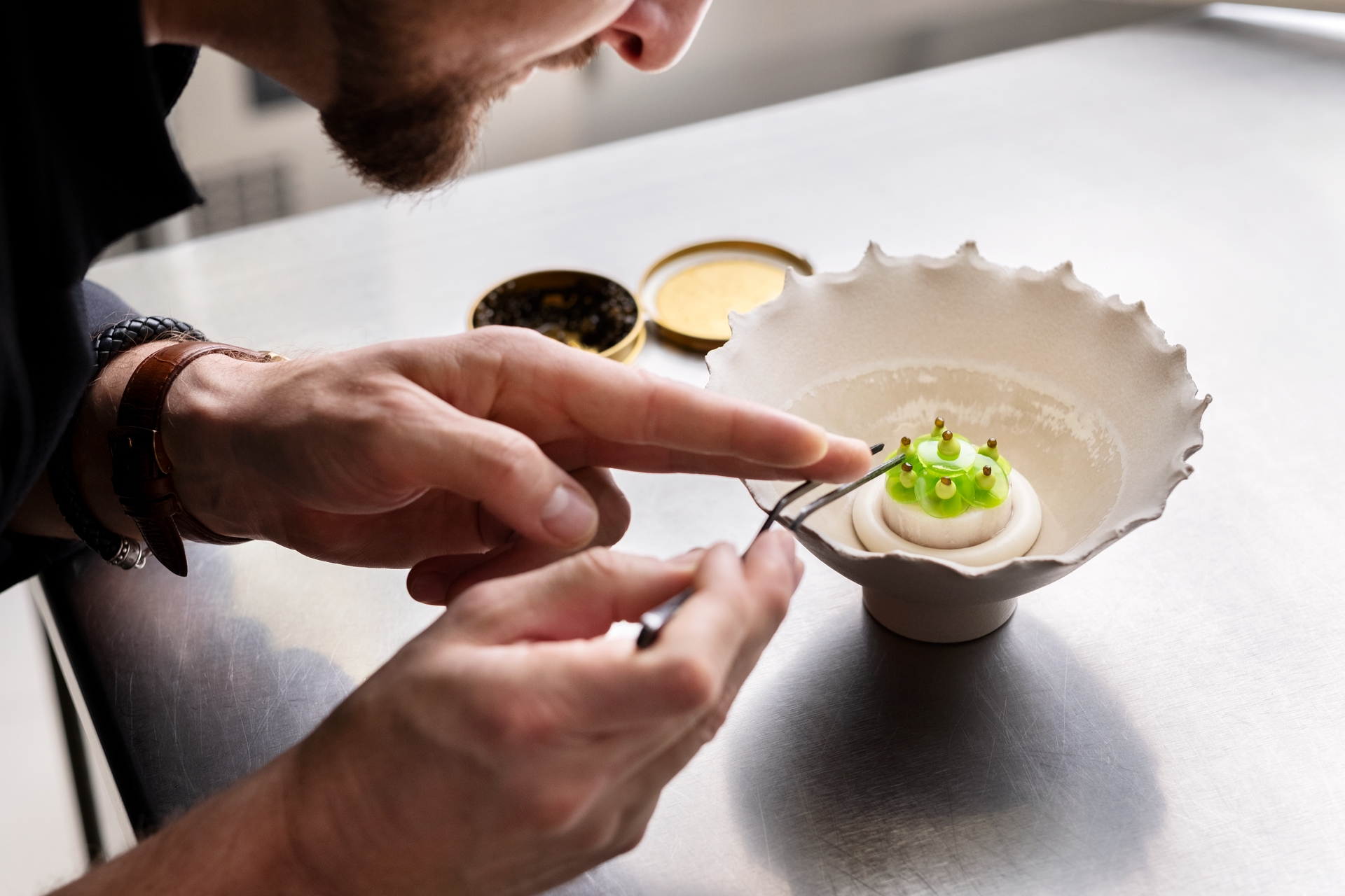 Astuces et Conseils pour le dressage