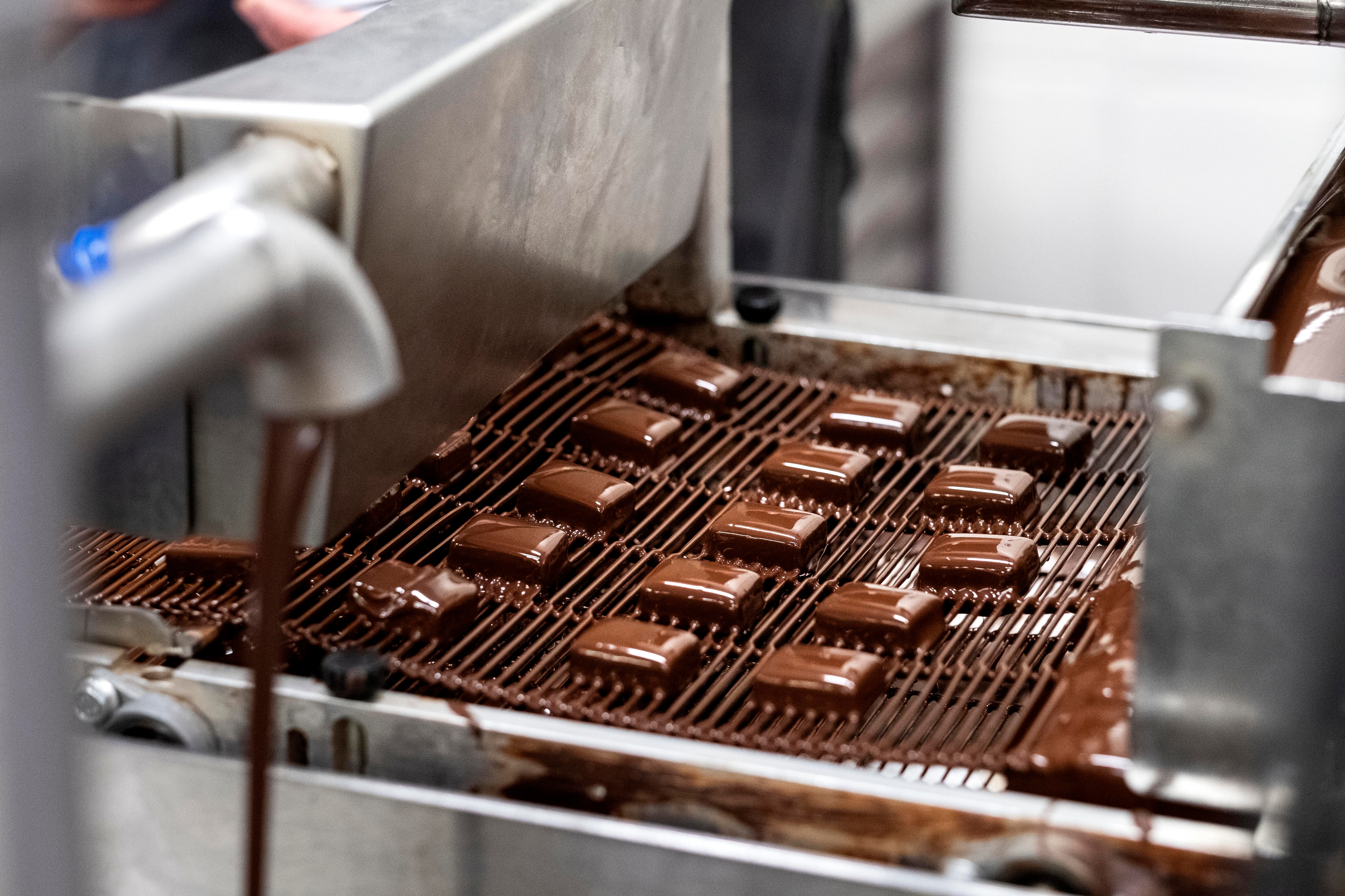 Ekskluzywna współpraca