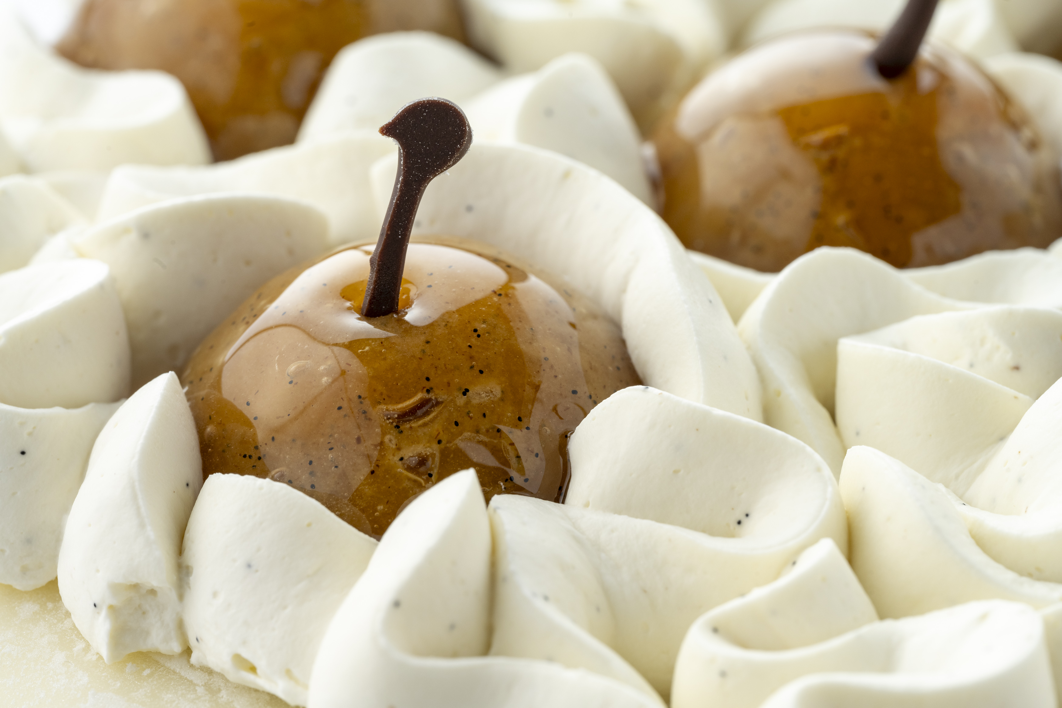 Alejandro García ambassador