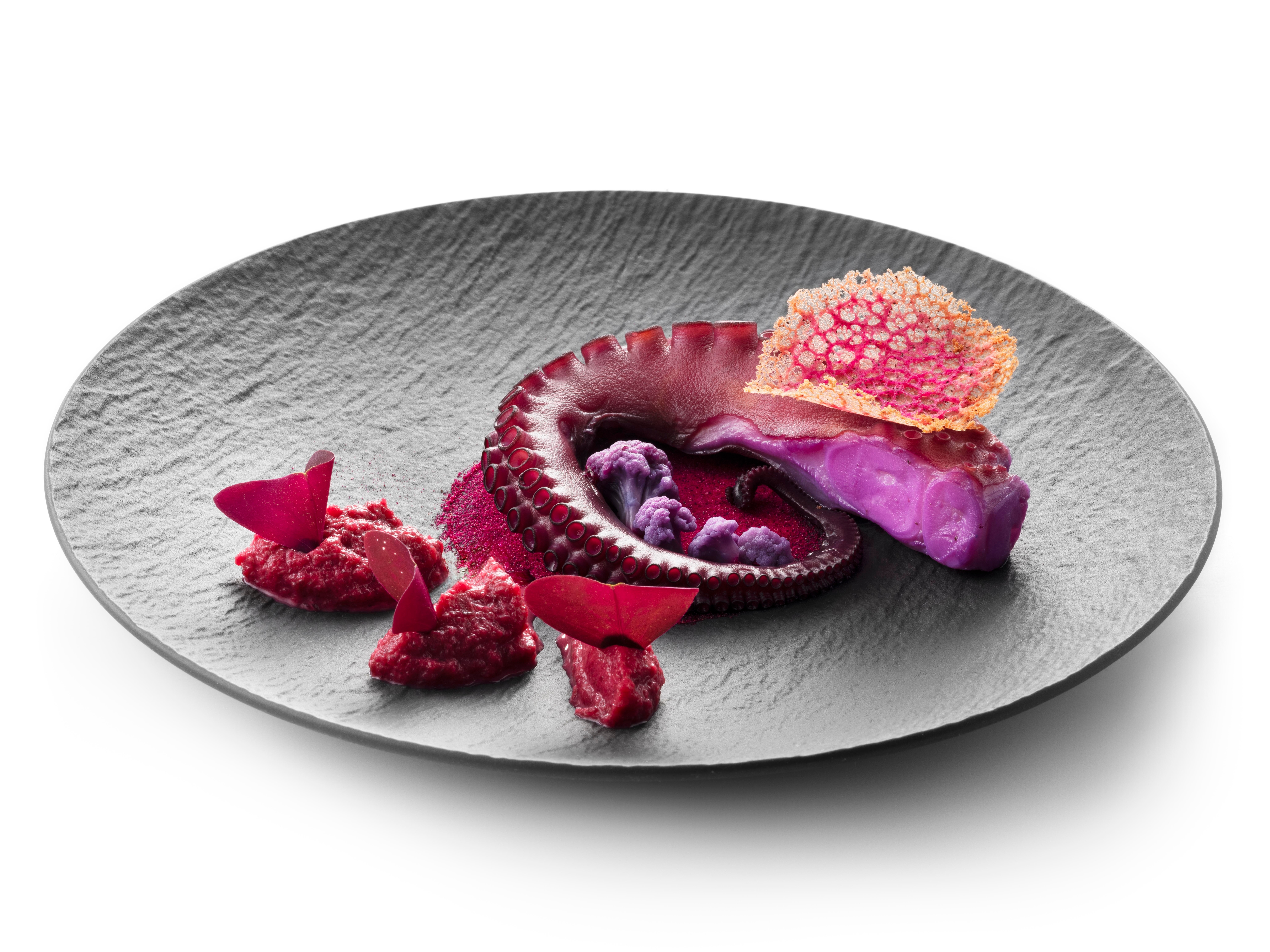 Let colour lead, your customers will feel it in every bite