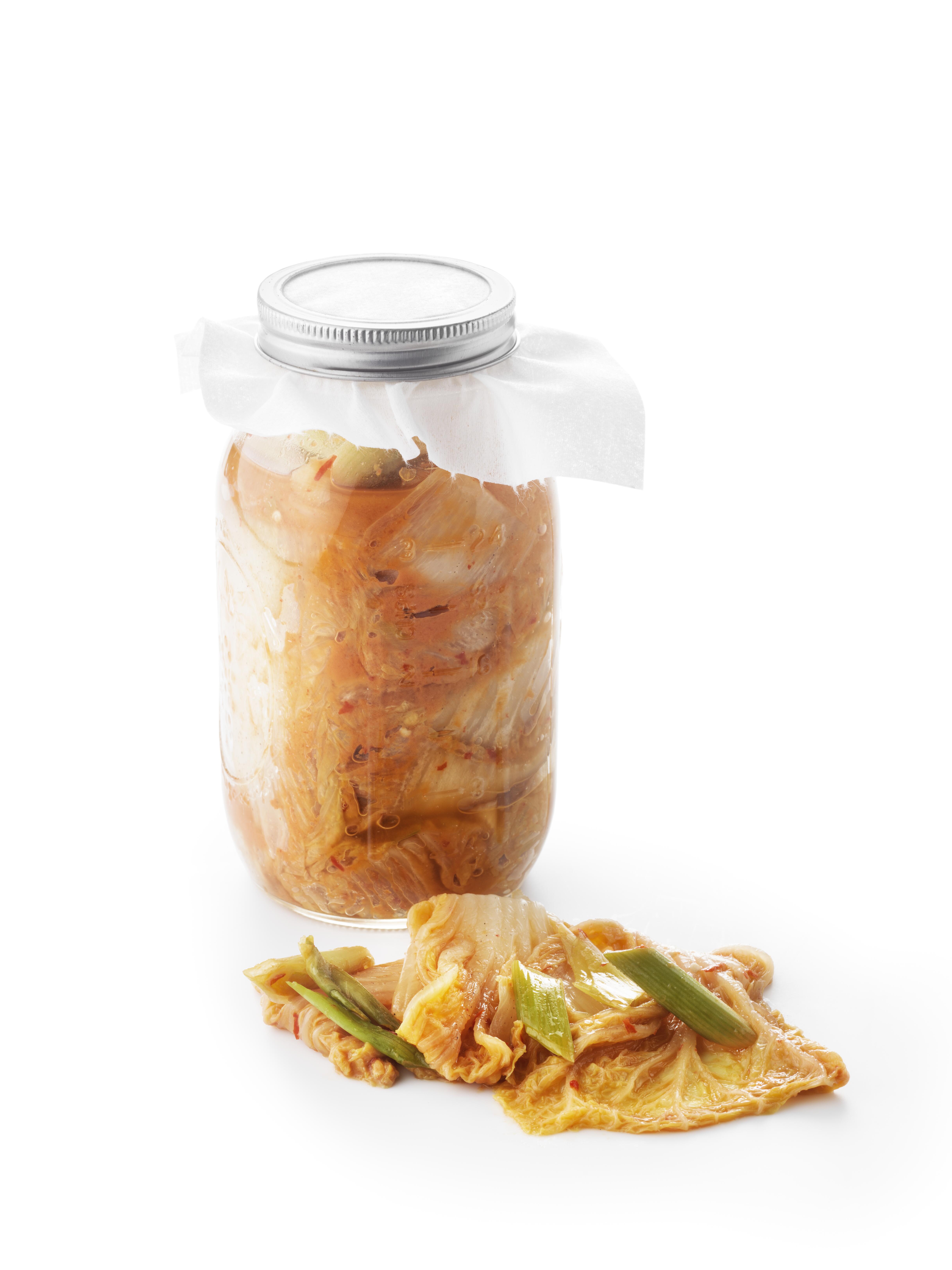 Discover the Power of Fermentation, An Age-Old Craft Reborn