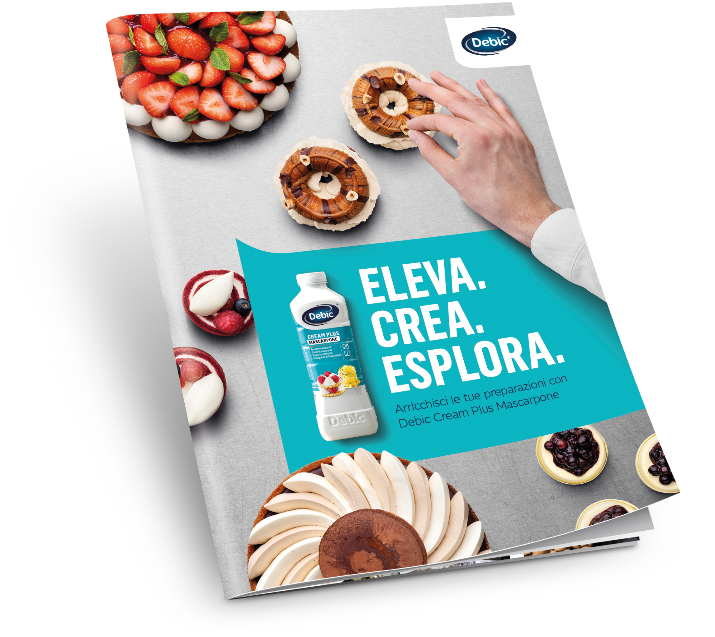 Debic Cream Plus Mascarpone brochure