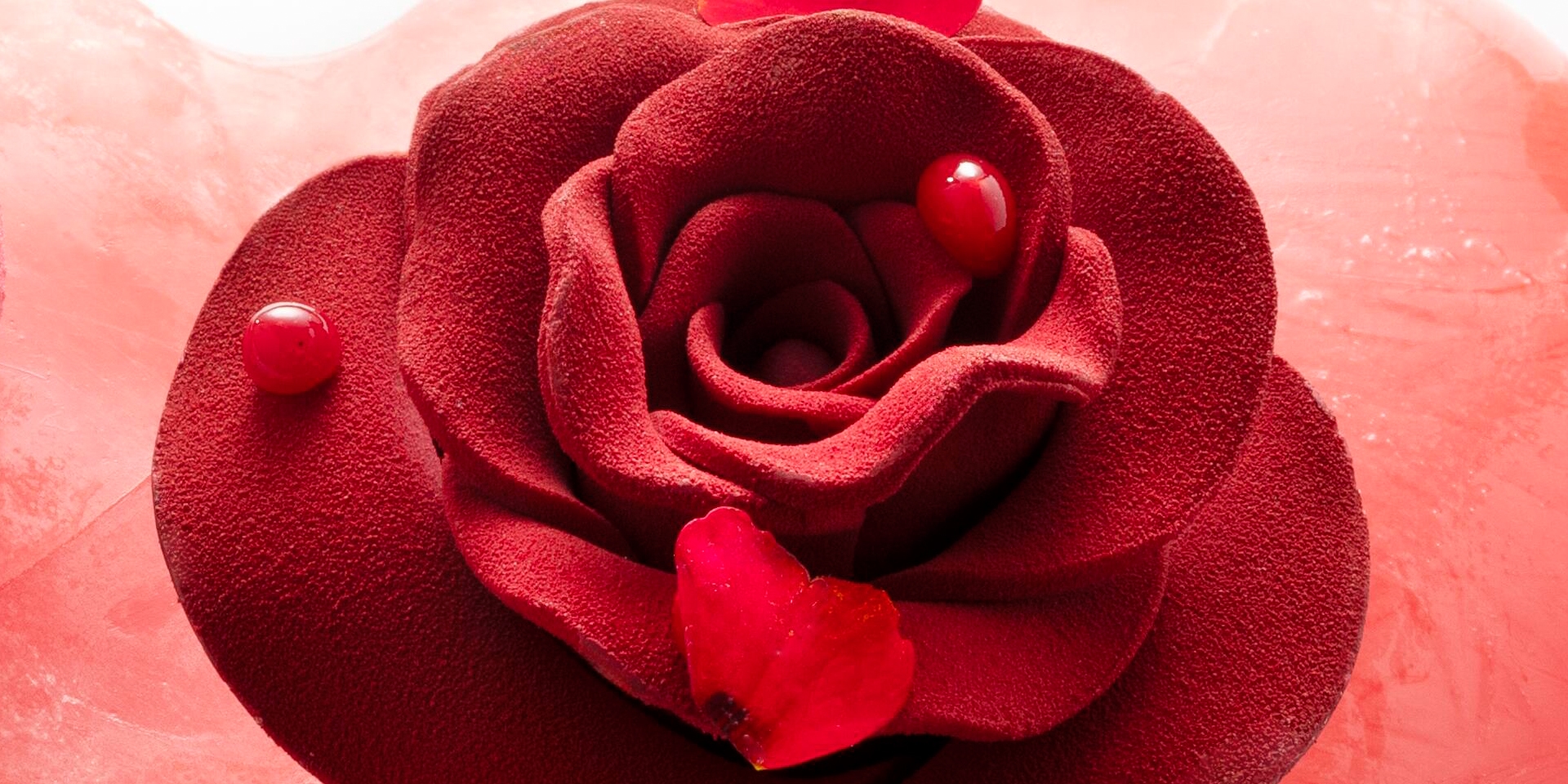 Red rose