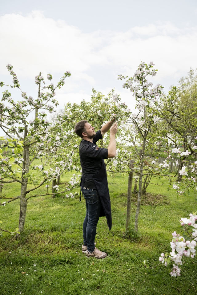 Bart de Gans in een tuin.