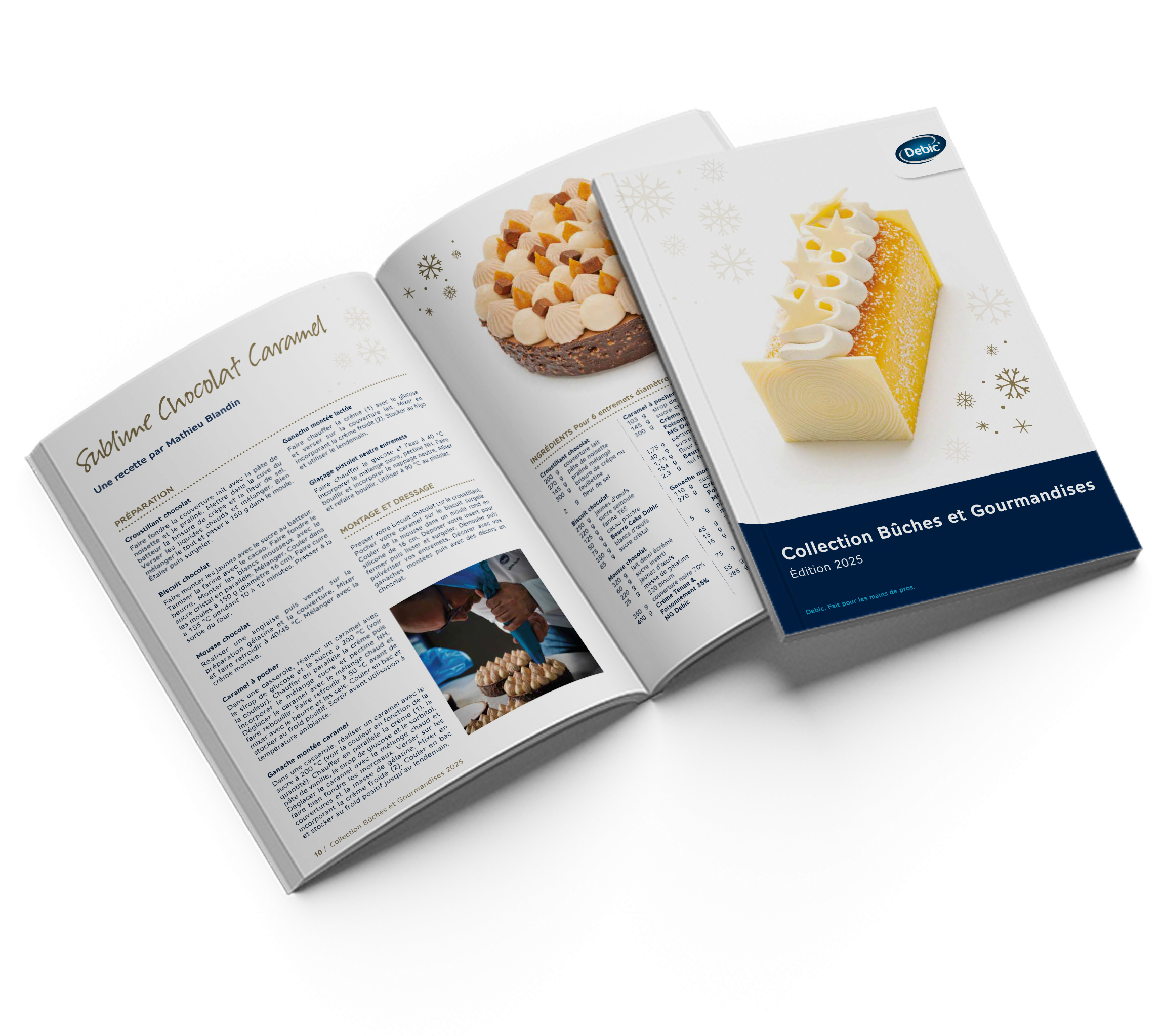 Debic Collection Bûches et Gourmandises