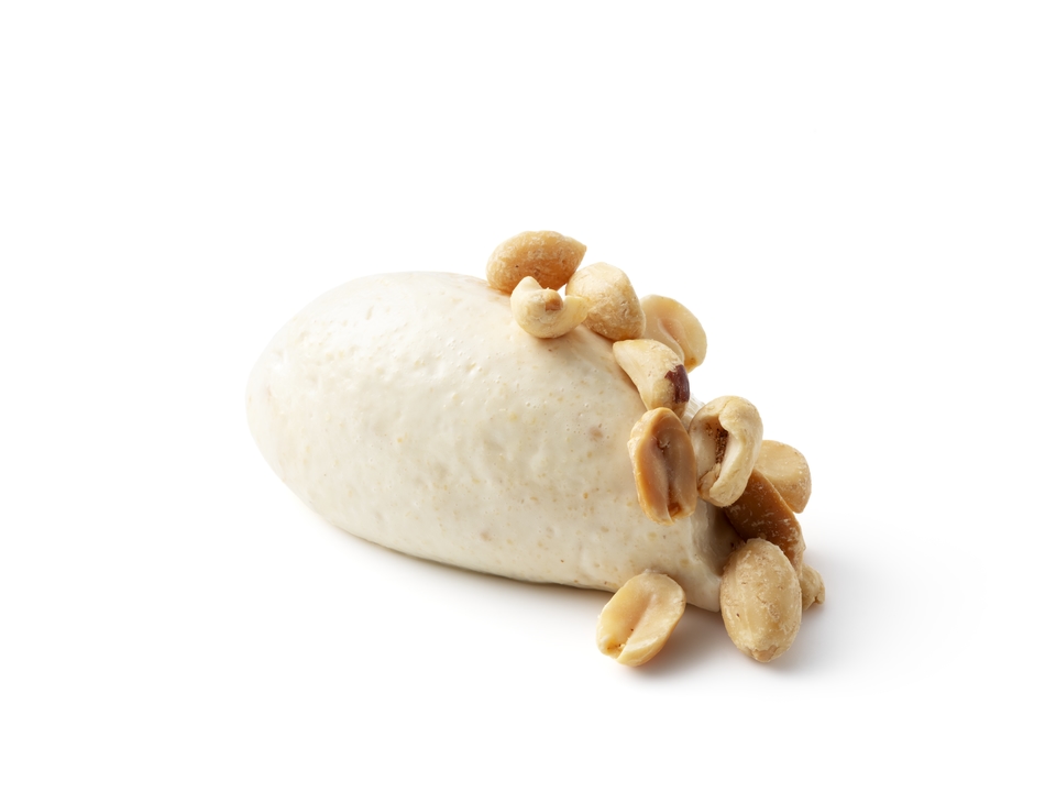 A white quenelle topped with peanuts.