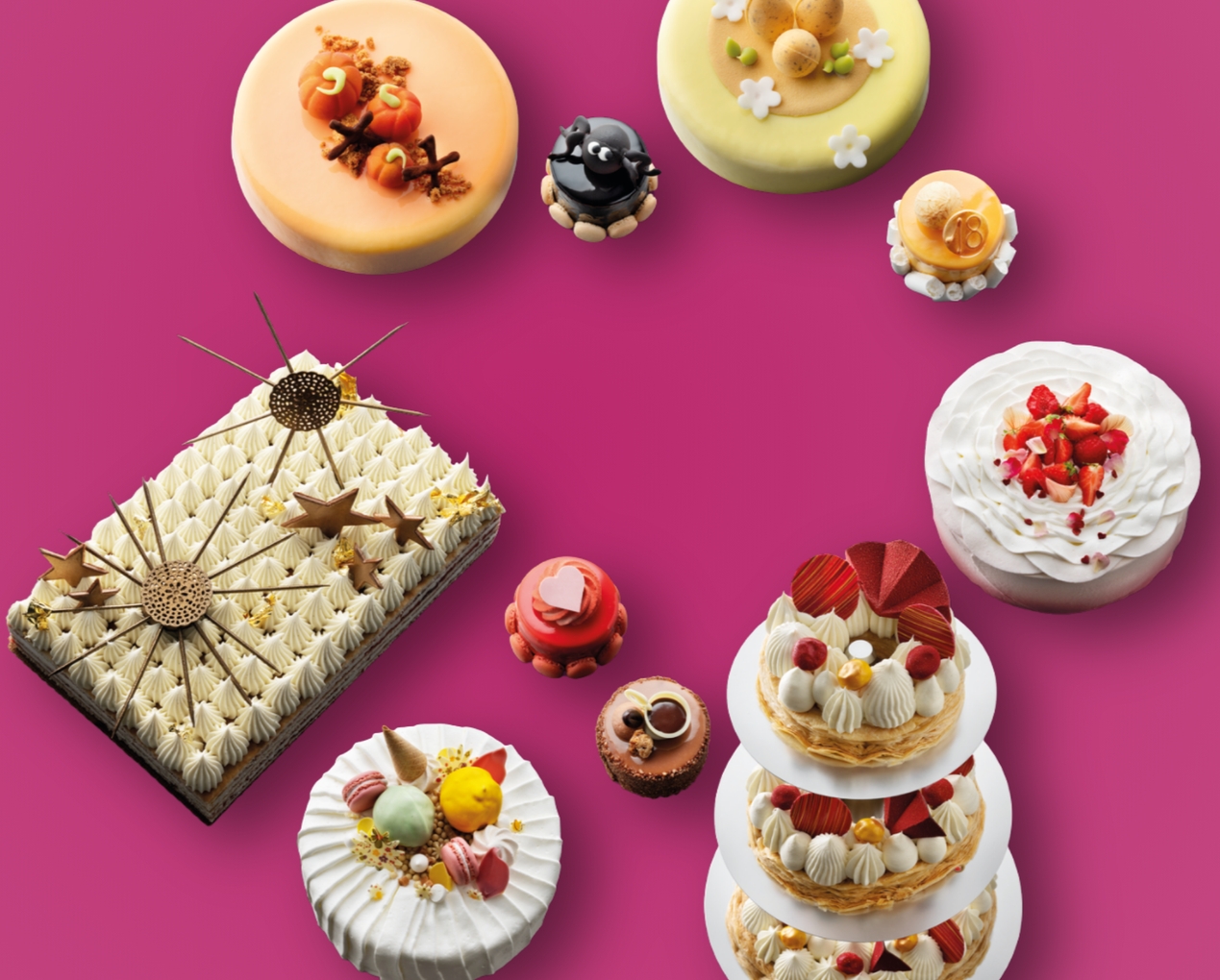 Debic Celebration Cakes