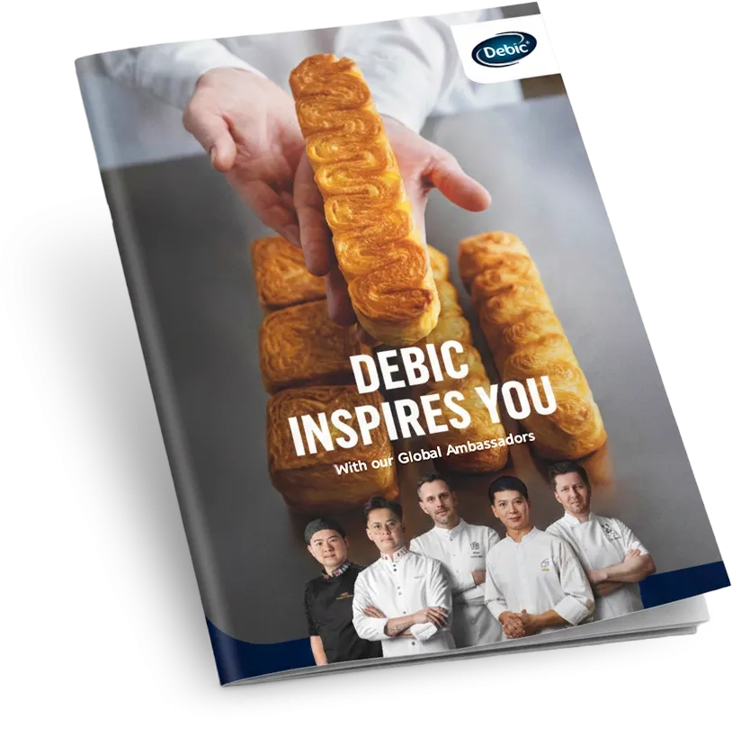 Debic Brochure