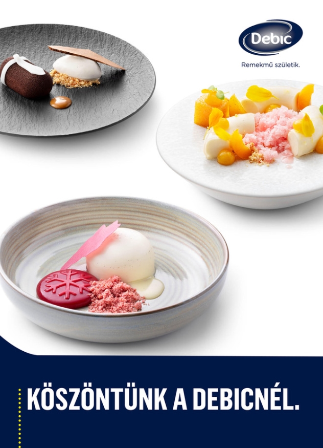 Debic katalog proizvoda