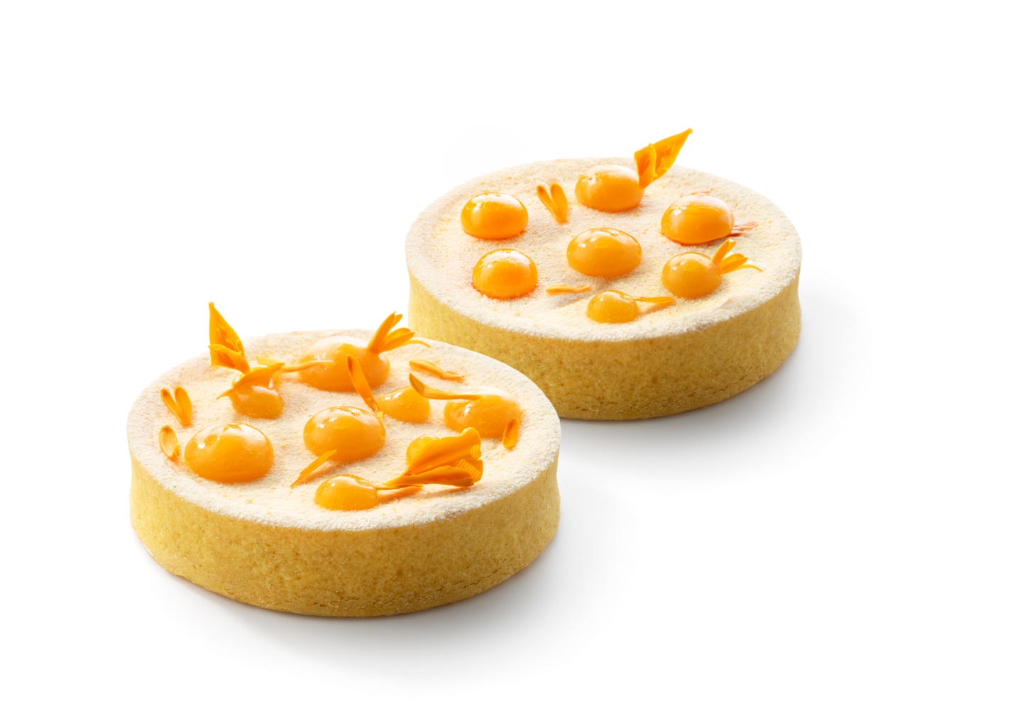 Tartlet with apricot yoghurt cheesecake | Debic