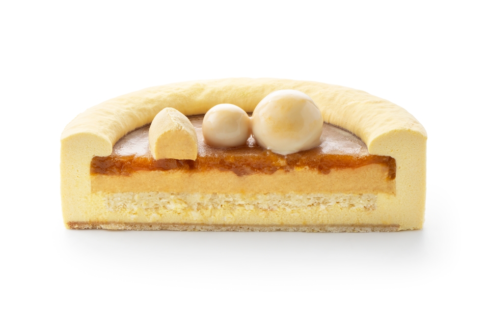 Apricot-mango entremet | Debic