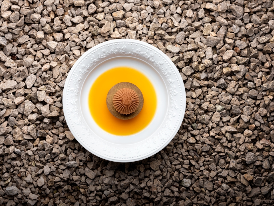 Apricot symphony