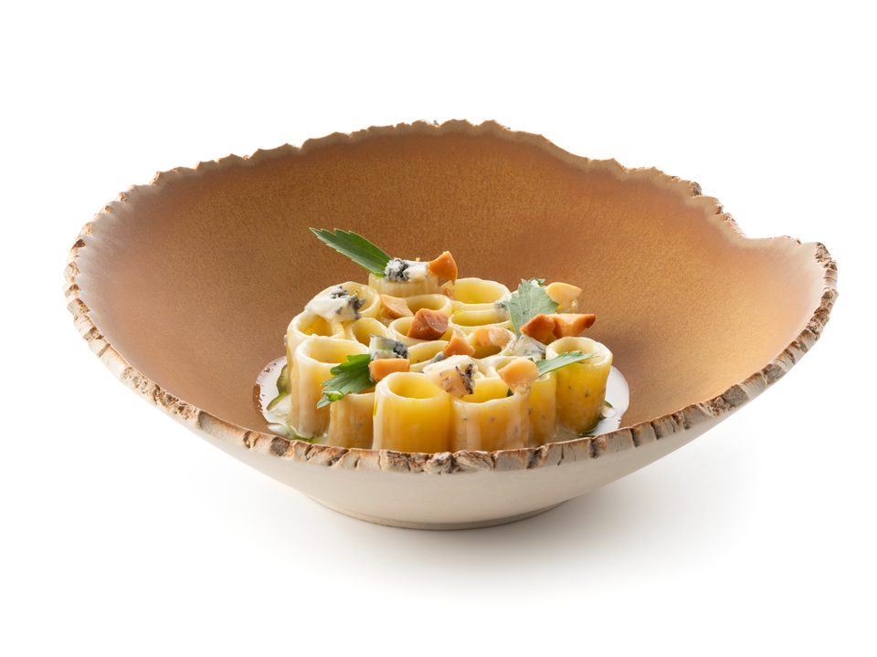 Rigatoni with gorgonzola sauce