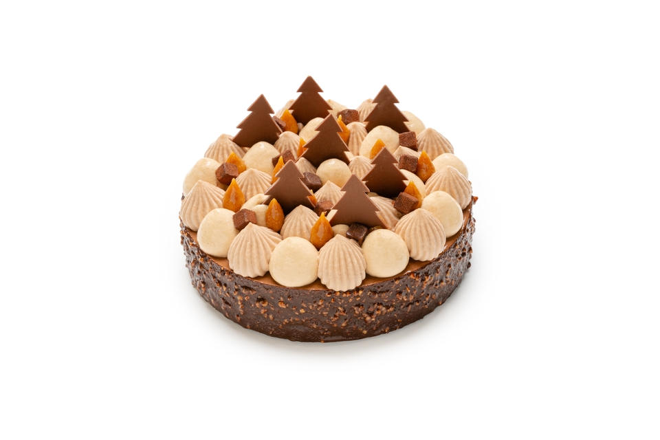 Sublime chocolate caramel tart