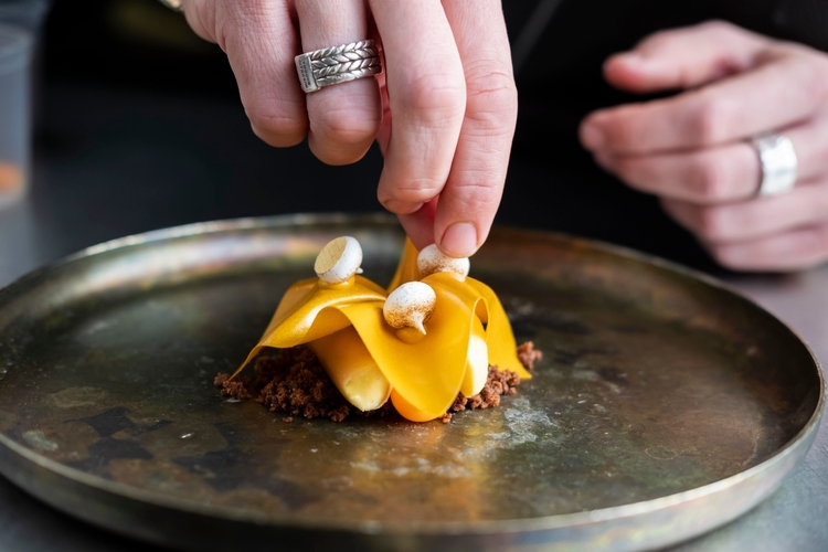 Ambassador - 1703162334672 ambassador_recipe_carousel | Debic