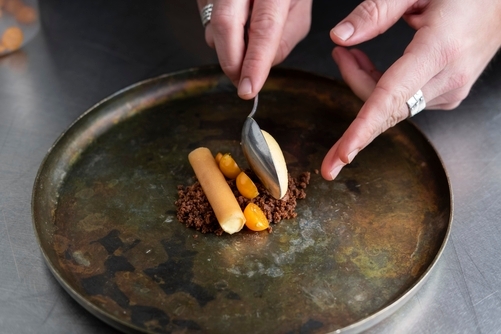 Ambassador - 1703162334672 ambassador_handling_1 | Debic