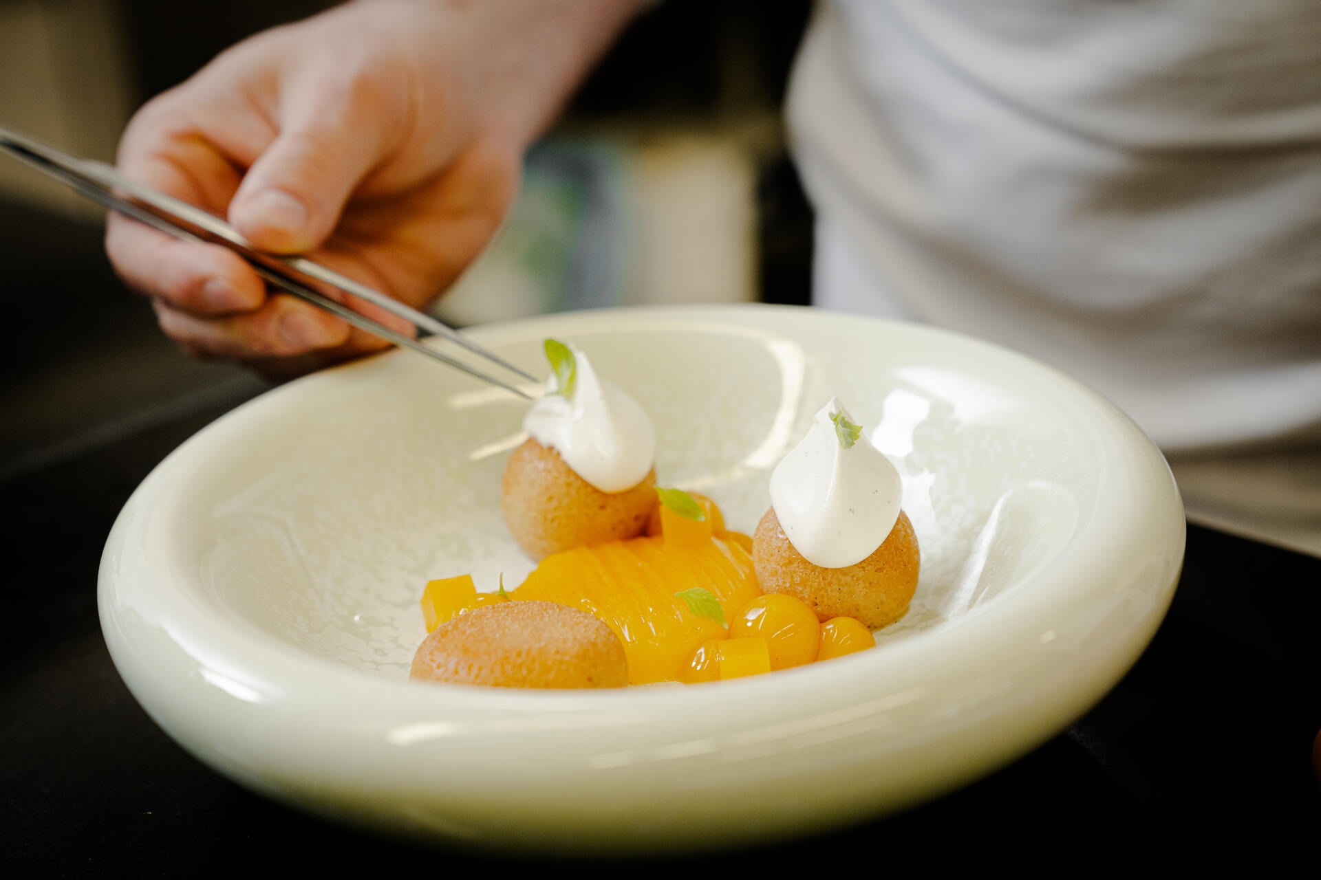 Ambassador - 1687931297296 ambassador_handling_1 | Debic