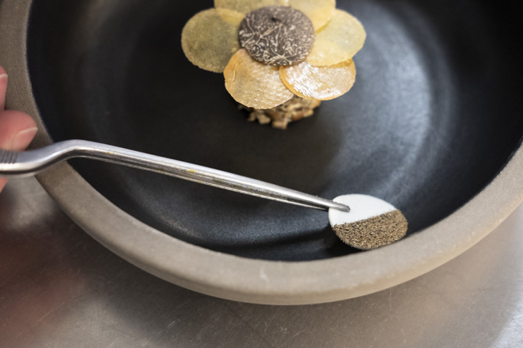 Ambassador - 1718698847486 ambassador_recipe_carousel | Debic