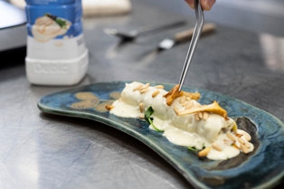 Jordi Guillem - handling_1 | Debic