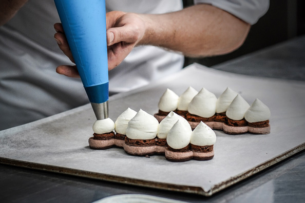 Ambassador - 1718698859020 ambassador_about | Debic