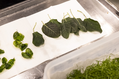 Gert De Mangeleer - handling_2 | Debic