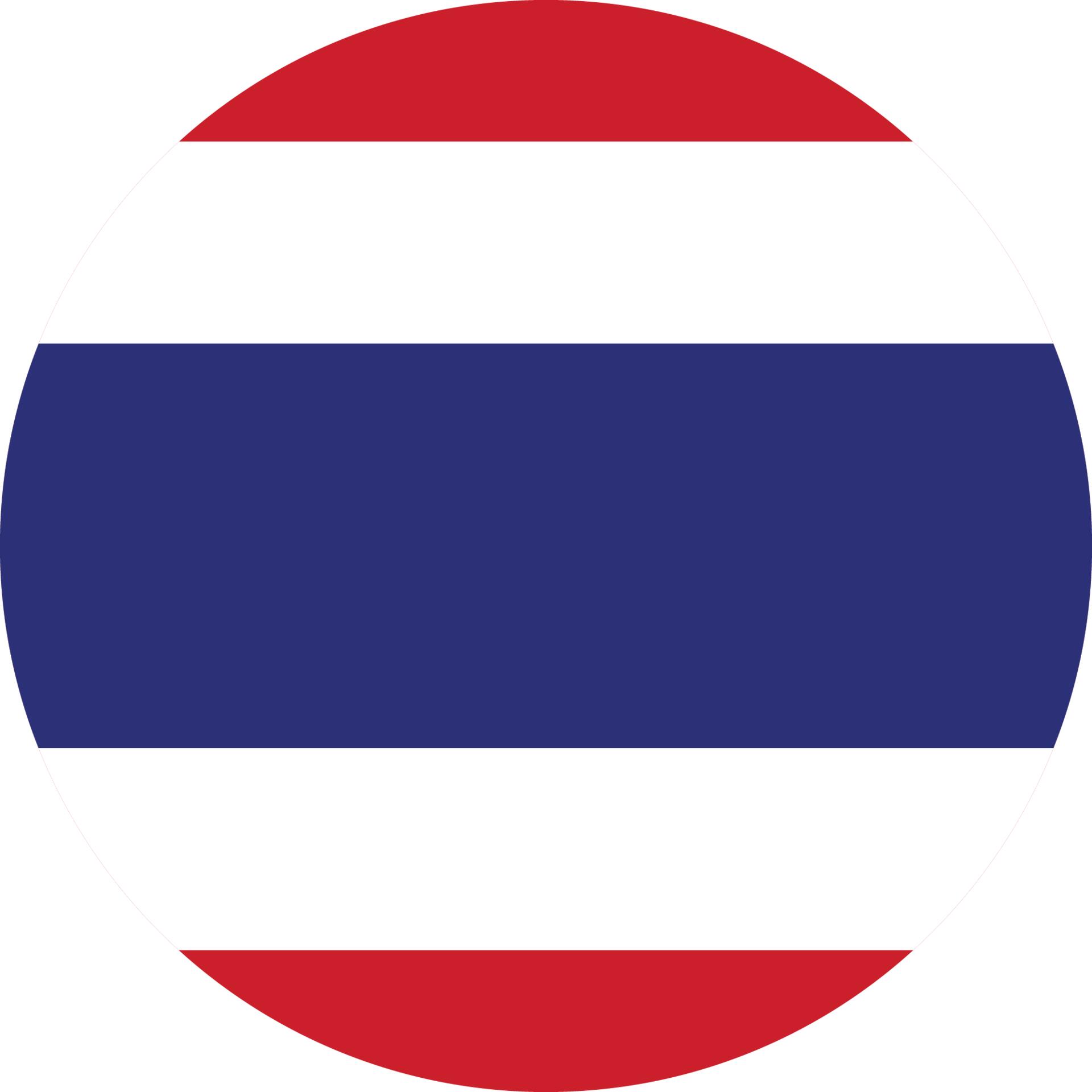 Ambassador - 1719296564171 flag | Debic