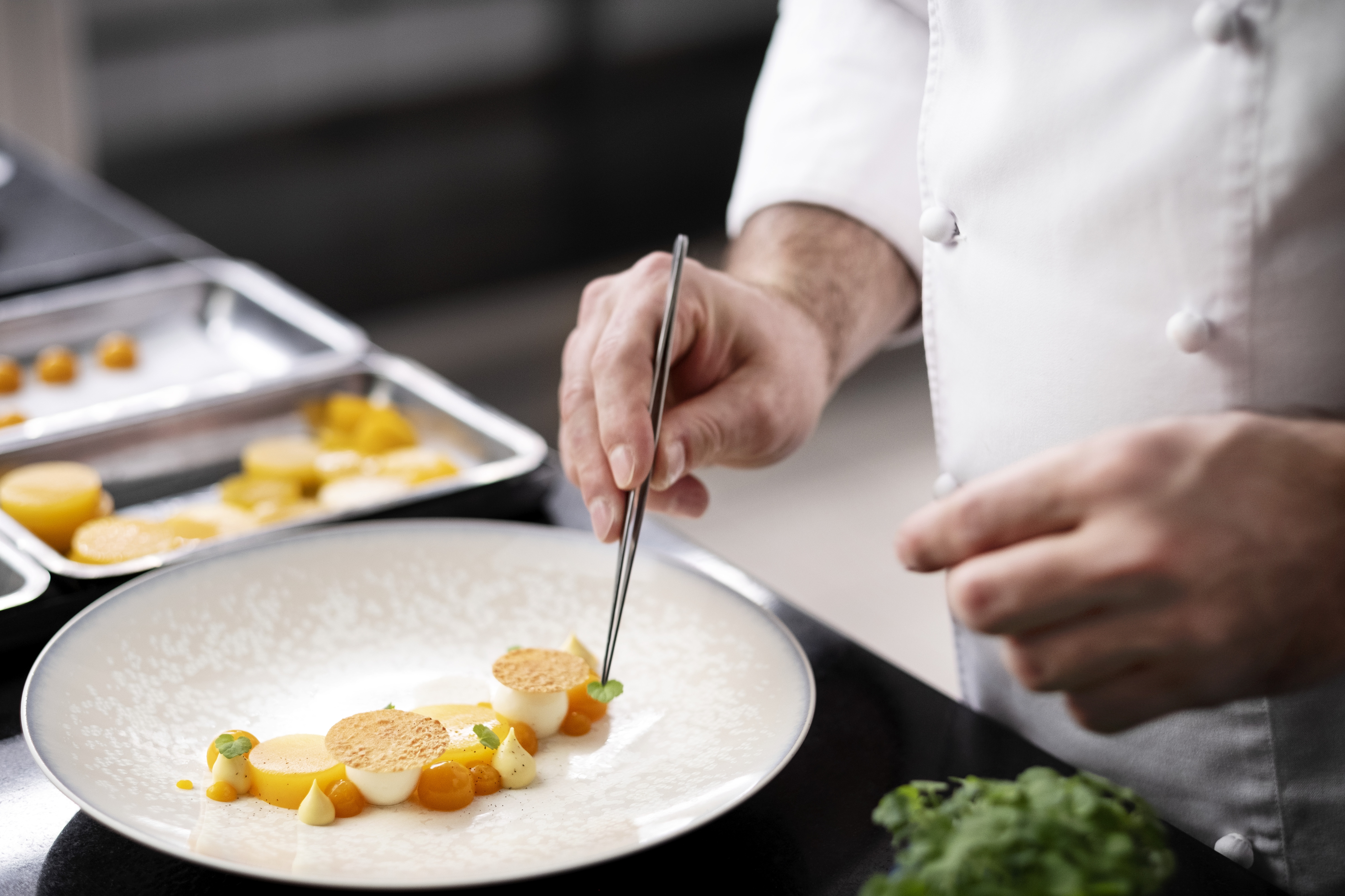 Ambassador - 1718698887058 ambassador_handling_1 | Debic