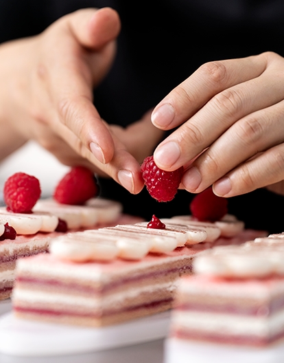 Ambassador - 1718699003362 ambassador_handling_1 | Debic