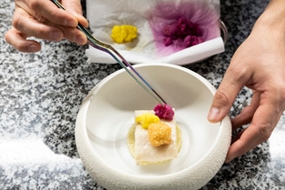 Ambassador - 1718699103813 ambassador_about | Debic