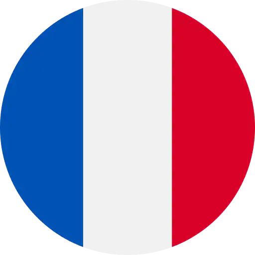 Ambassador - 1701937043340 flag | Debic