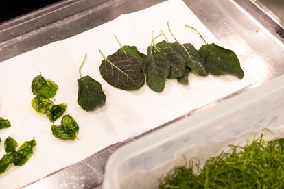 Gert De Mangeleer - handling_1 | Debic