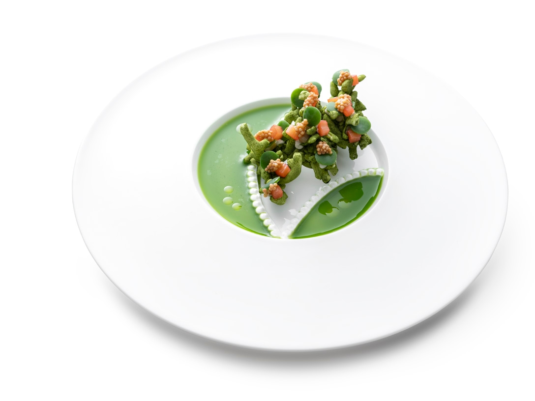 Puffed tapioca - photo1 | Debic