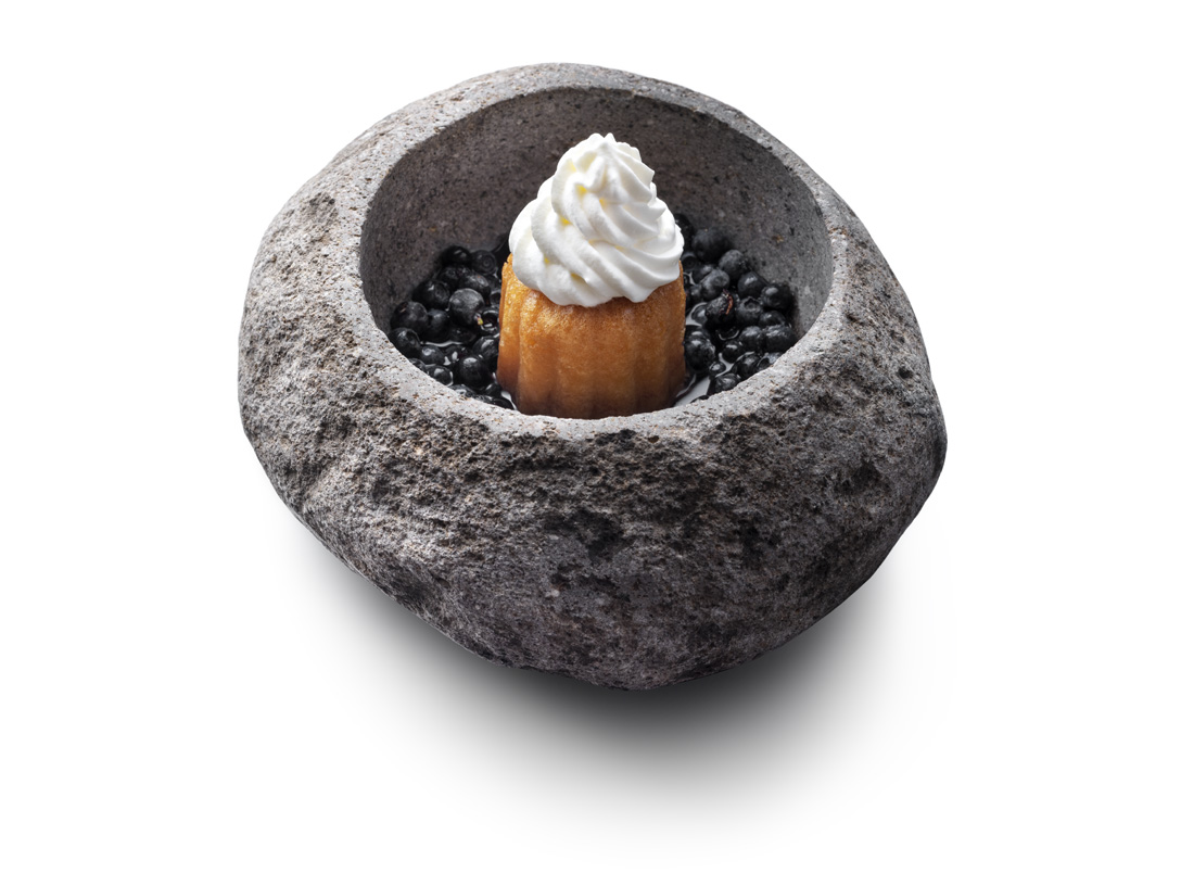 Blueberry Baba - photo1 | Debic