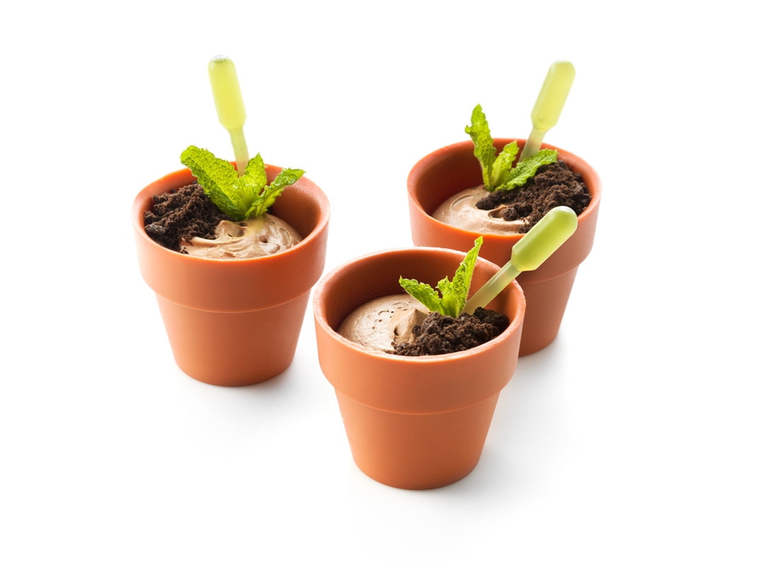 Jungle chocomousse - photo1 | Debic