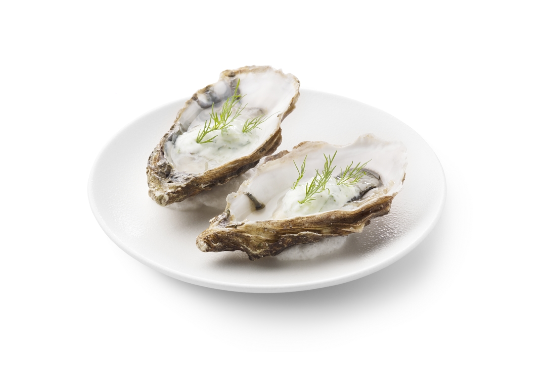 Oester met cacık - photo1 | Debic