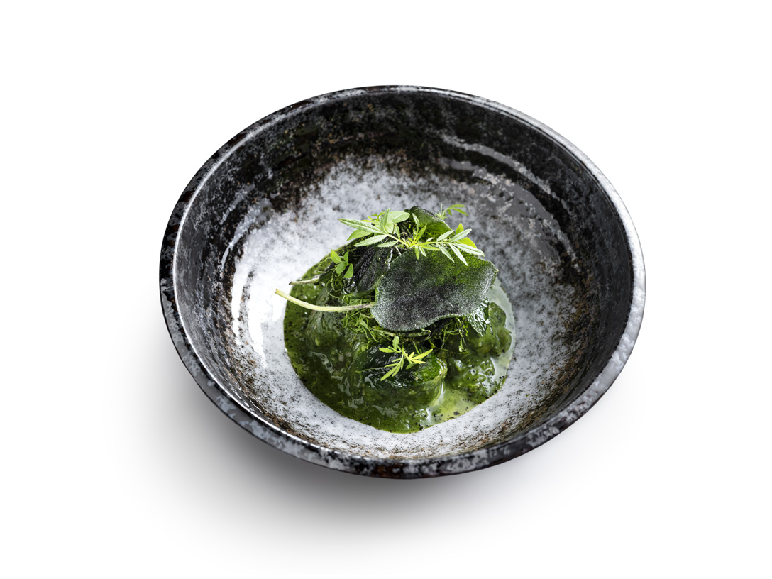 Węgorz - photo1 | Debic